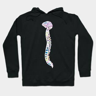 Funfetti Brain and Spine (White background) Hoodie